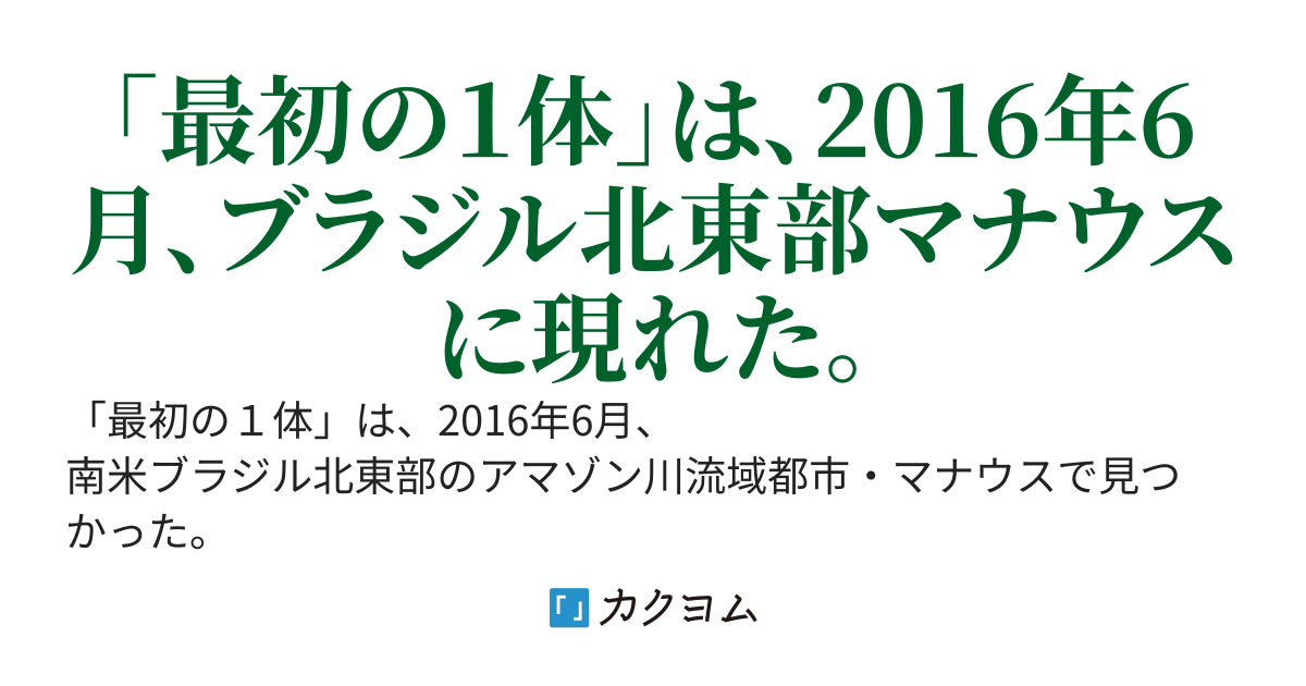 ブラックホール・ブラックアウト