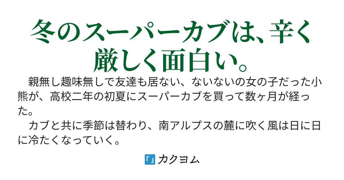 スーパーカブ２