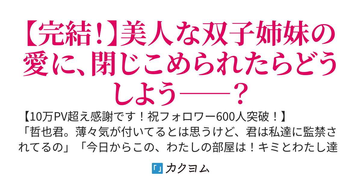美人双子に愛され過ぎて、気づいたら監禁されていた