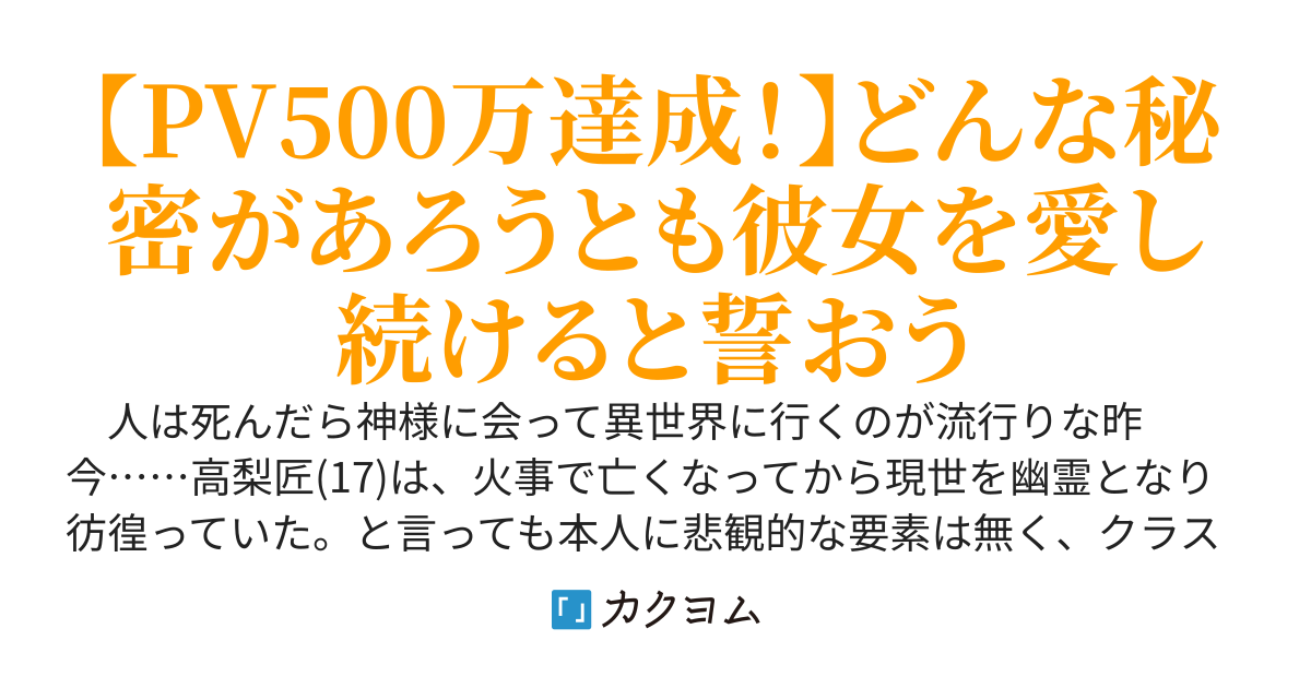 秘密だらけの僕のお嫁さんは、大陸屈指の実力を誇るドラゴンスレイヤーです