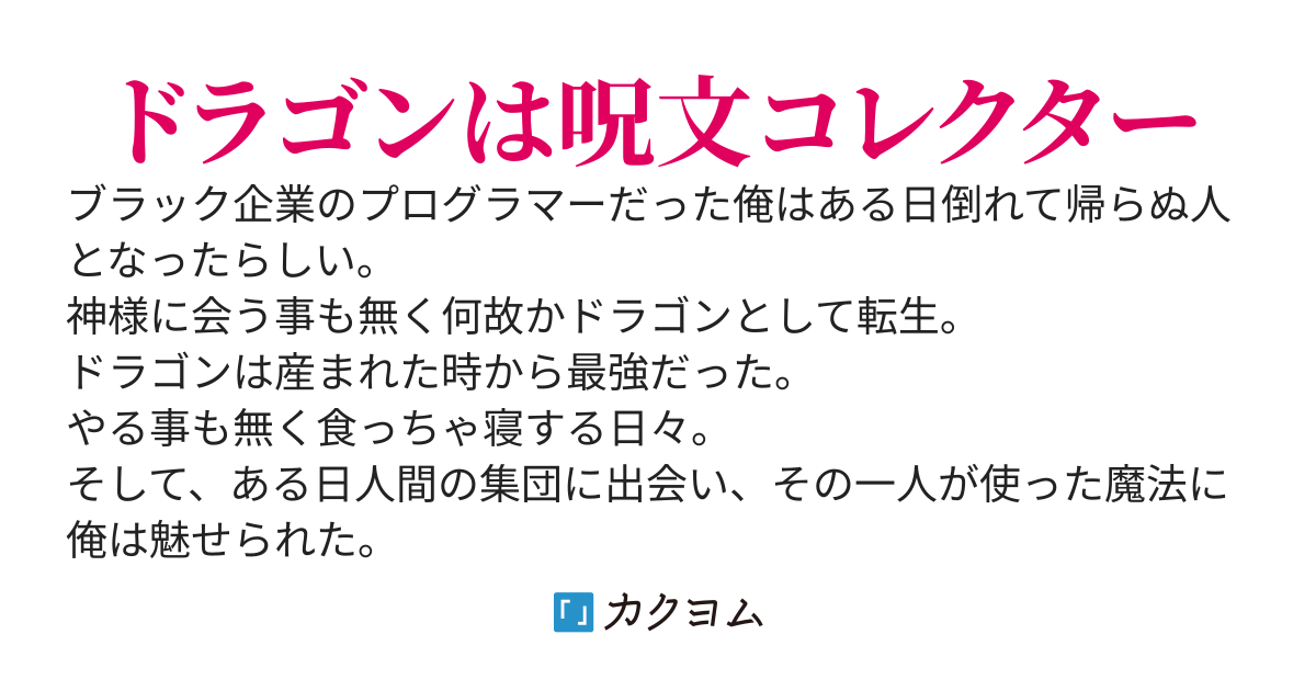 転生ドラゴンの魔法使い～魔法はガチでプログラムだった～