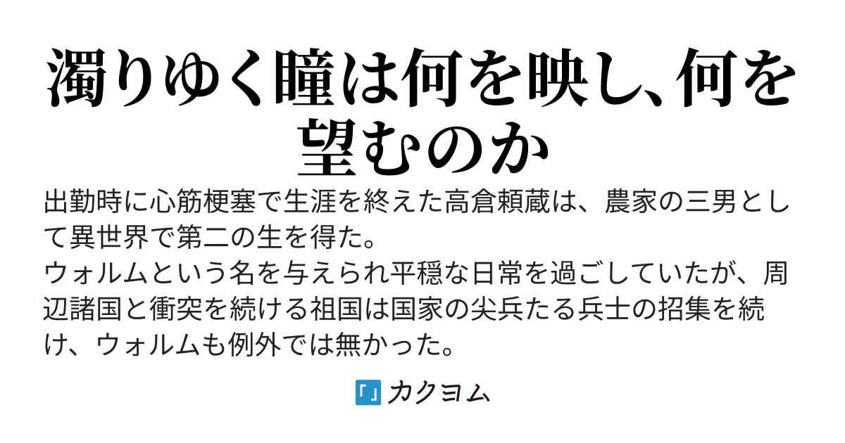 濁る瞳で何を願う　ハイセルク戦記