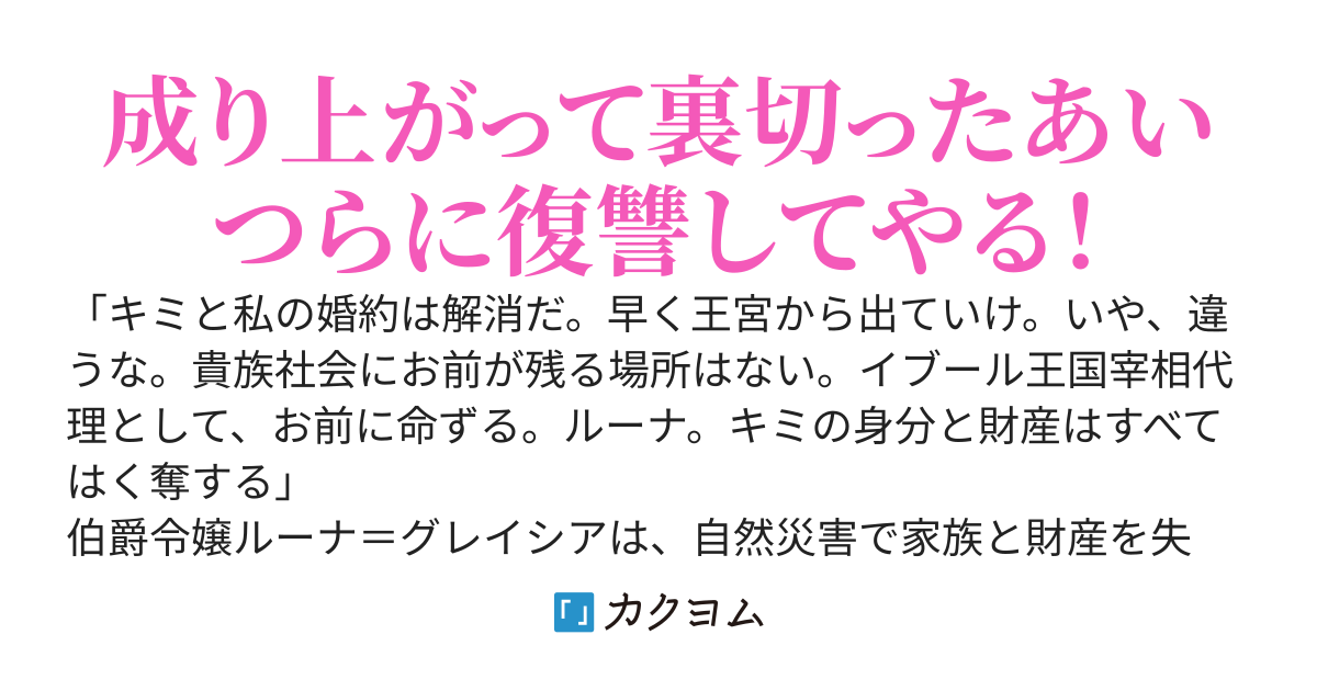 王子に裏切られて婚約破棄。そして、追放された私は、年上の騎士様に助けられて平民宰相に成り上がって王子に復讐する！