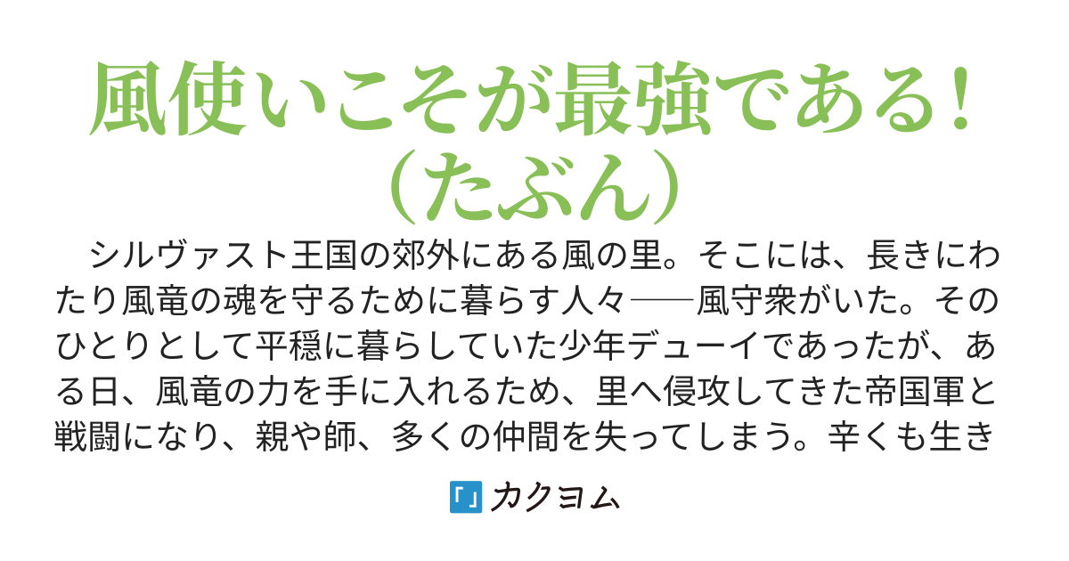 風竜の力を宿した少年は世界最強の風使いとなる。