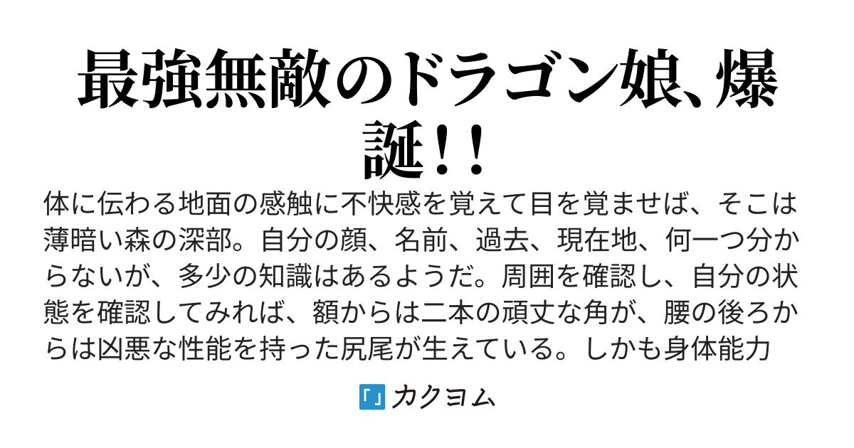 ドラ姫様が往く！！