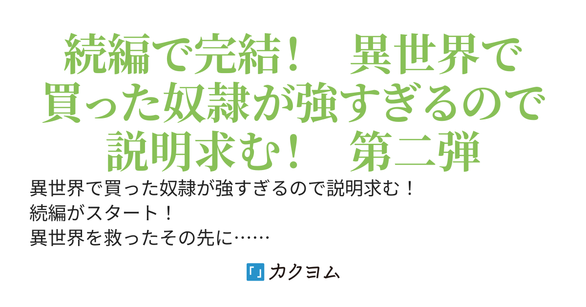 異世界で買った奴隷がやっぱ強すぎるので説明求む！