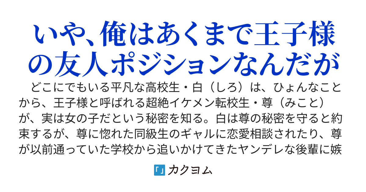 俺はあくまで王子様の友人ポジションなんだが、いつのまにかハーレムできてた
