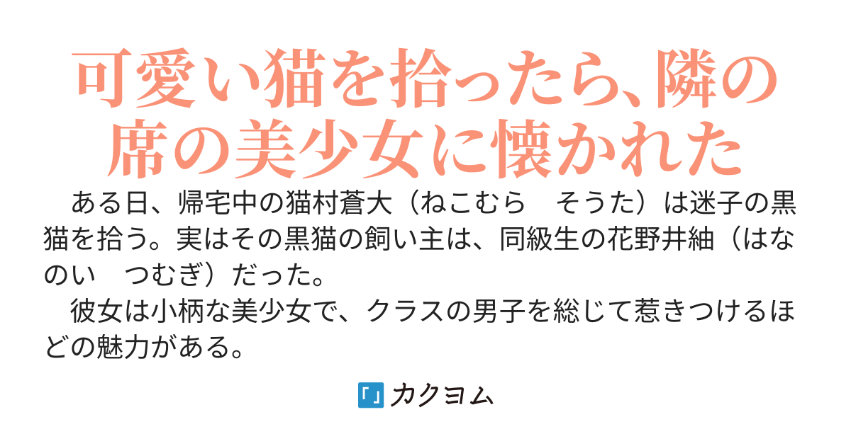 可愛い迷子の黒猫を拾ったら、クラスで大人気の猫系美少女に懐かれた