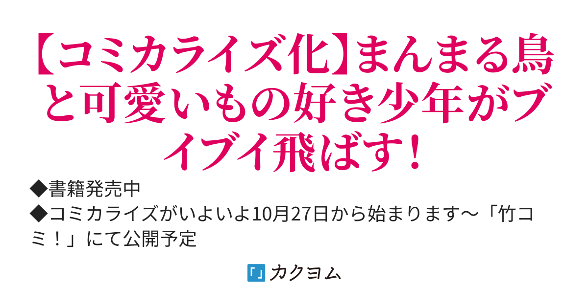 小鳥ライダーは都会で暮らしたい
