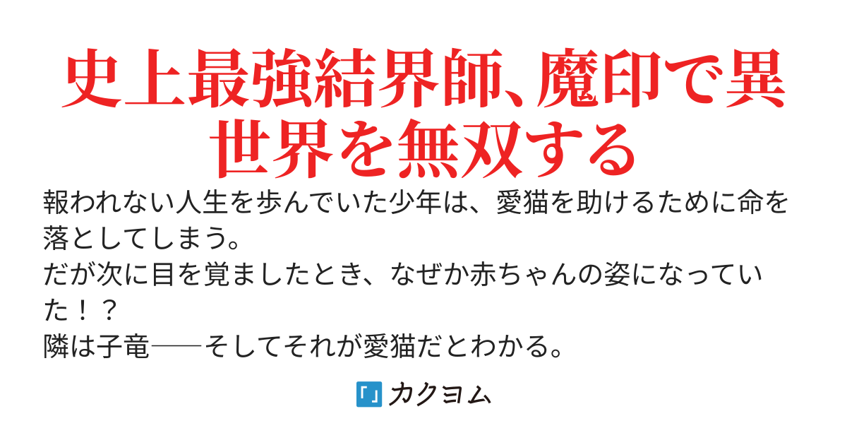 【完】やがて最強になる結界師、規格外の魔印を持って生まれたので竜と無双します