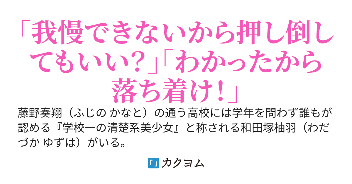 学校ナンバーワン清楚系美少女と呼ばれている俺の幼馴染。彼女のプライベートでの姿を俺だけが知っている