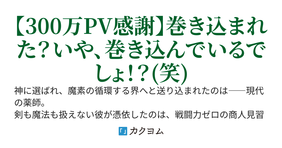 巻き込まれた薬師の日常
