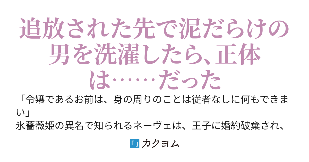 実は家事万能な伯爵令嬢、婚約破棄されても全く問題ありません
