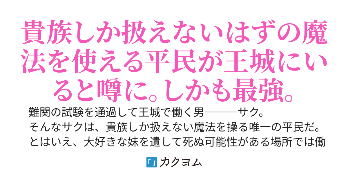 平民でただの使用人である僕が実は最強の魔法士だとバレたら、姫様達が離してくれなくなった件について。