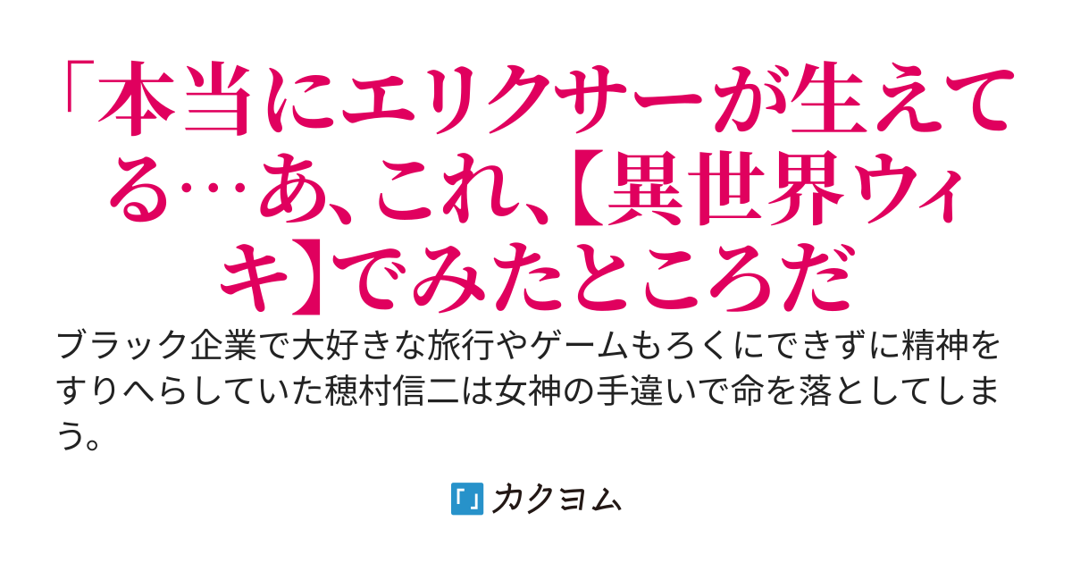 異世界トラベラー～女神から受け継いだ『異世界ウィキ』で悠々自適な異世界探索！！～初めていく街やダンジョンも『ウィキ』の攻略情報やコメントがあれば安心安全です～