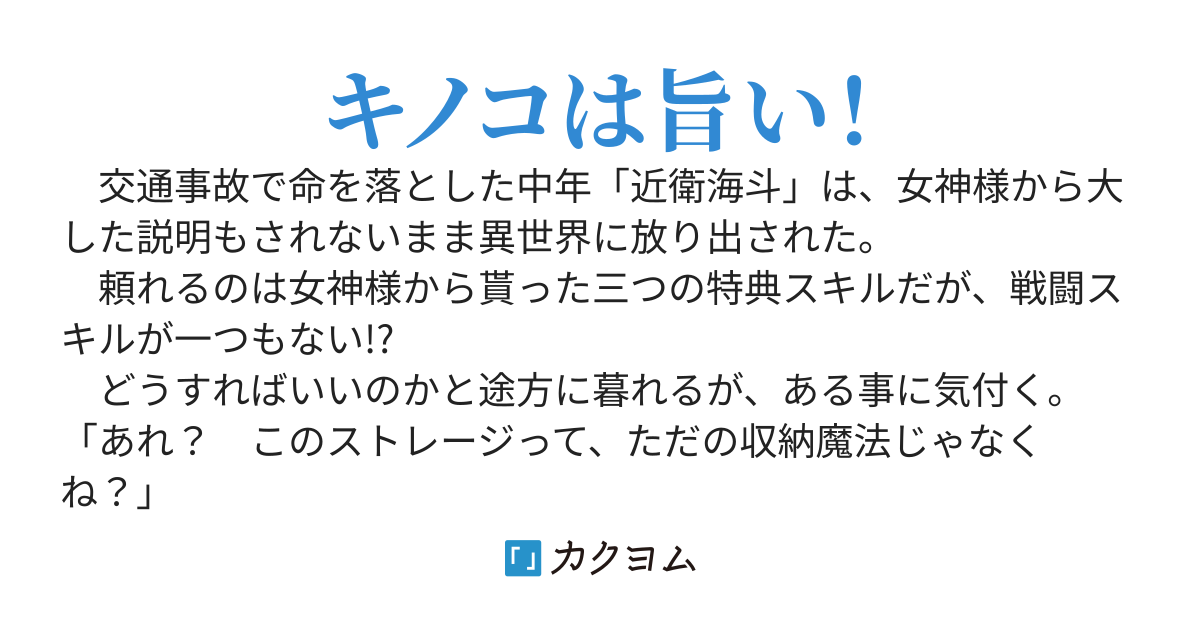 【１００万PV突破感謝！】見た目は青年、中身はアラサーが異世界に降り立つ　～チートスキル「ストレージ」を携えて～