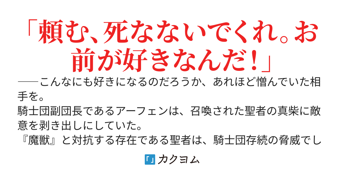 【BL】召喚された世界でも役立たずな僕の恋の話