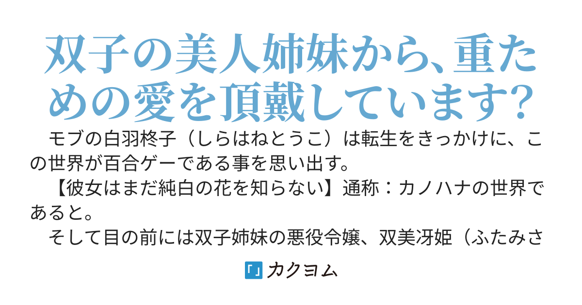 双子姉妹の悪役令嬢を闇落ちから救うためにモブが奮闘した結果、二人から溺愛されてしまいました。