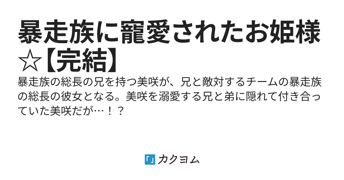 暴走族に寵愛されたお姫様☆【完結】