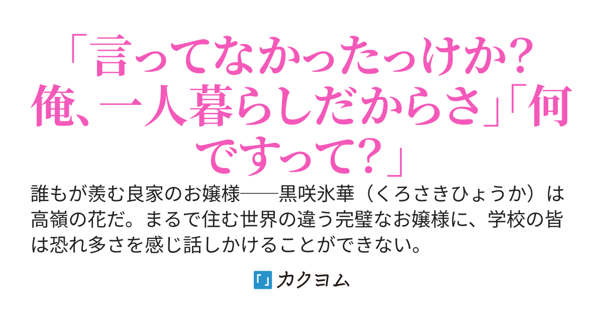 家出した黒髪清楚お嬢様を拾ったので、ワンルームでの同棲生活が始まります。