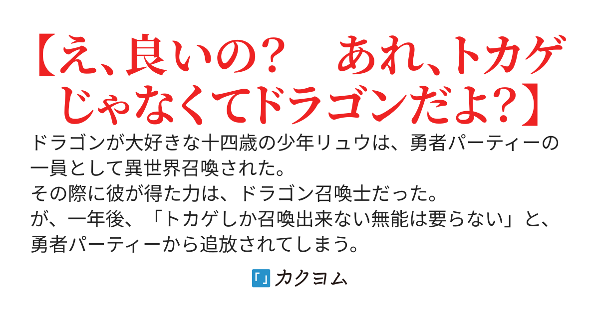 【ドラゴンが存在しない異世界で「トカゲしか召喚出来ない無能は要らない」と勇者パーティーから追放されたドラゴン召喚士の少年が無自覚ざまぁする話】