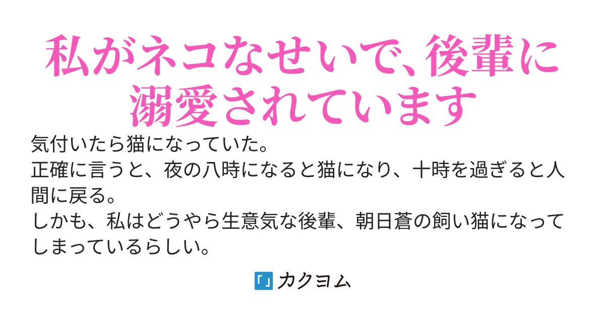 飼い猫の恋事情