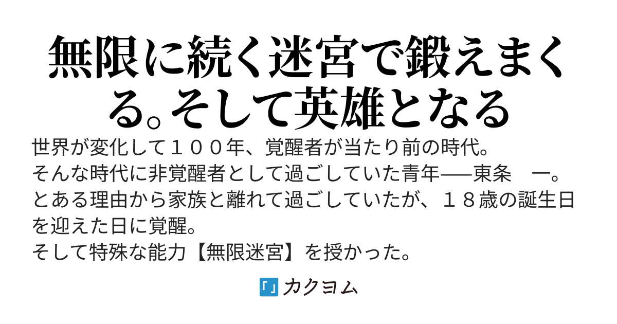 無限迷宮で鍛えていたらいつの間にか英雄になっていた件