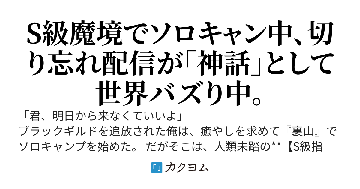 ブラックギルドを辞めて、S級指定の「未踏破エリア」で一人キャンプを楽しんでいただけなのに。配信切り忘れてて、俺の「焚き火動画」が世界中で神話扱いされてるって本当ですか？