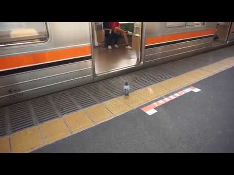 【府中本町駅名物】鳩が無賃乗車ｗｗｗｗｗｗｗｗｗｗｗｗｗｗ