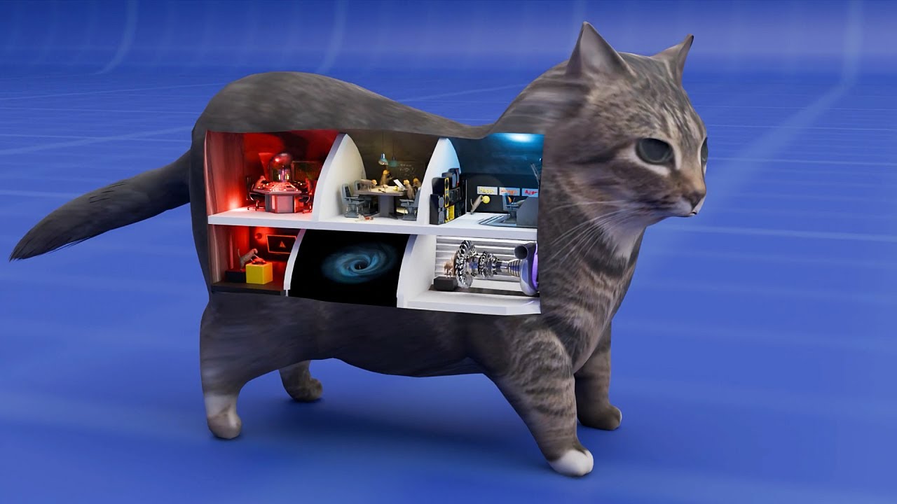 How a cat works