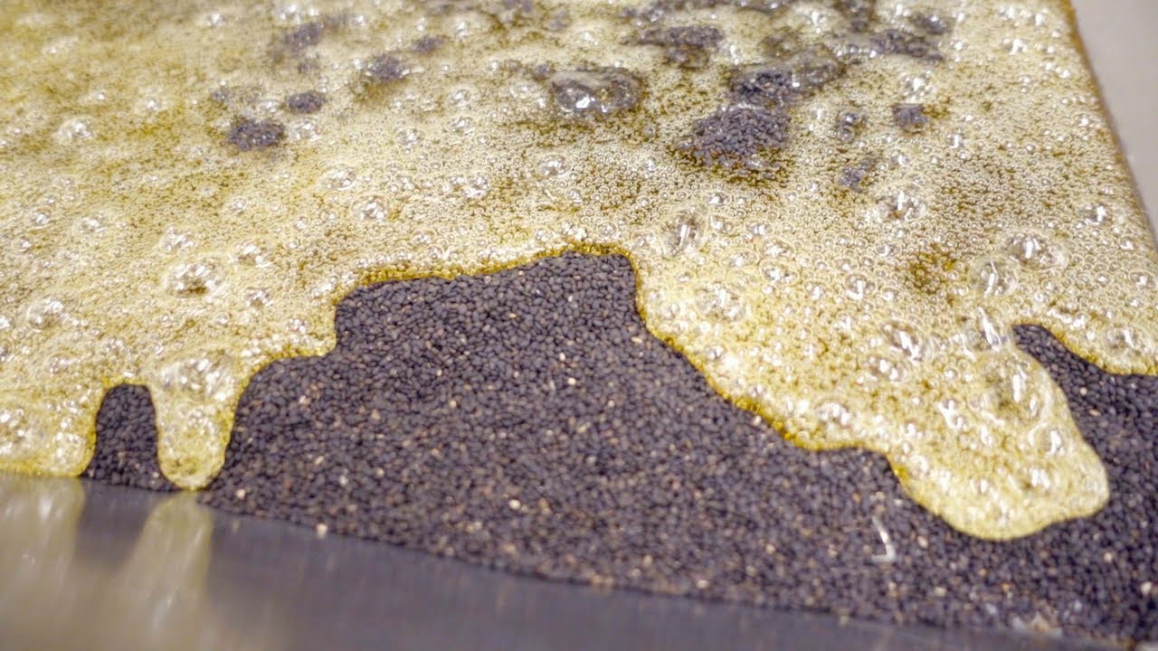 【製造風景】ごま千枚の作り方 / 噛んで食べる飴