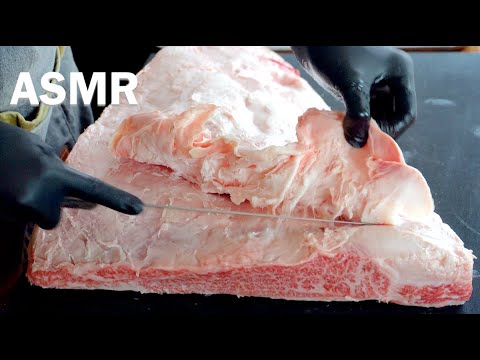 【肉磨きASMR】特上カルビにこびりついた大量の脂を無心で取り除くだけの動画