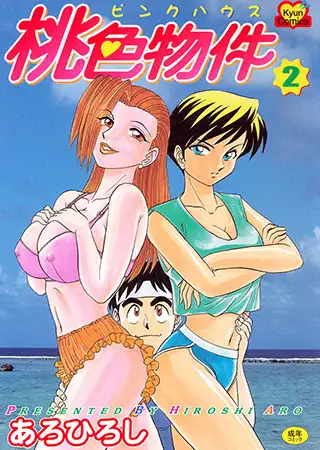 桃色物件ピンクハウス2