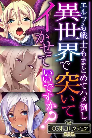 異世界で突いてイかせていいですか？ ～エルフも戦士もまとめてハメ倒し～【CG集コレクションBIG】