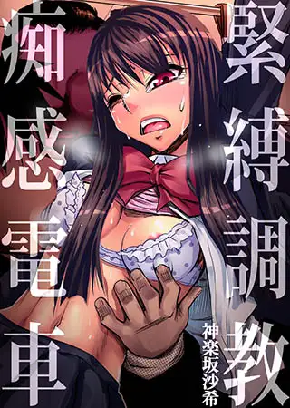 【セット】緊縛調教痴感電車 全9話