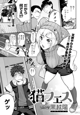 猫フェス