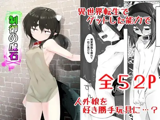 制御の魔石