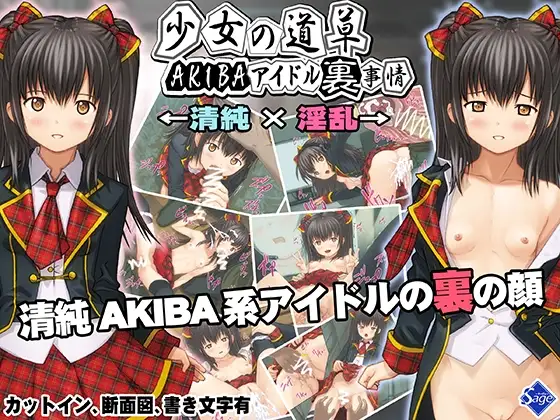 少女の道草～AKIBAアイドル裏事情 -闇堕ちアイドル裏営業- ～