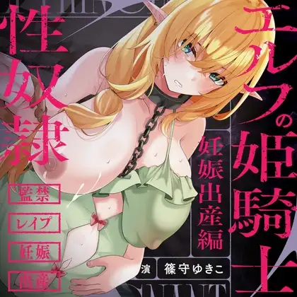 エルフの姫騎士は性奴○になりました～妊娠、出産編～