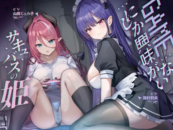 ゲームにしか興味がないサキュバスの姫【KU100】