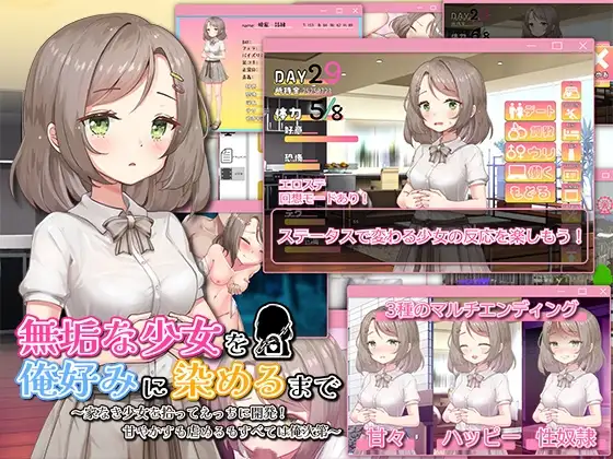 無垢な少女を俺好みに染めるまで～家なき少女を拾ってえっちに開発！ 甘やかすも虐めるもすべては俺次第～