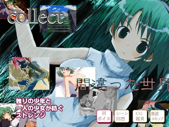 collect(アダルト版)