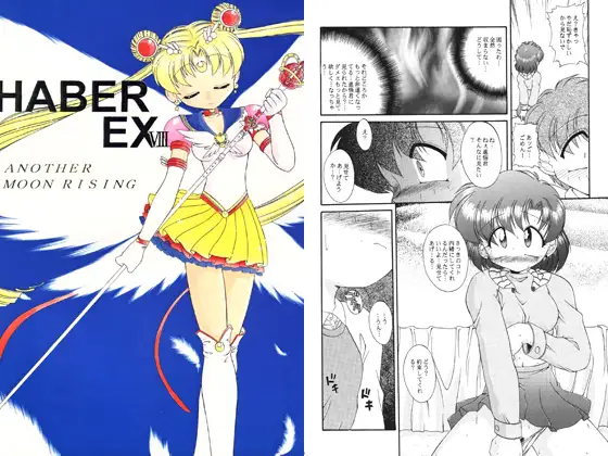 HABER EX VIII