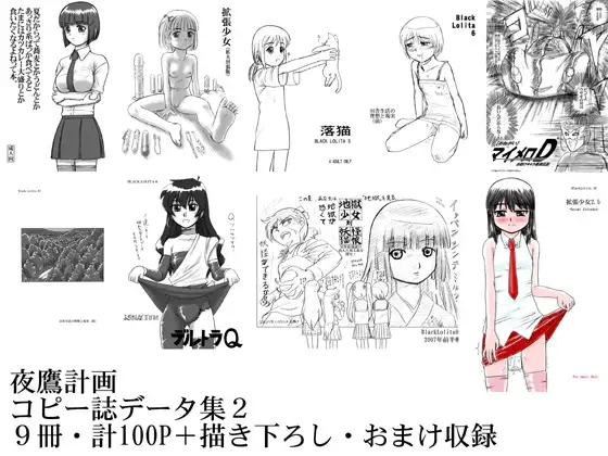 夜鷹計画コピー誌データ集2