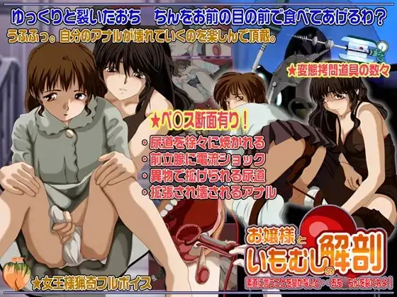 お嬢様といもむしの解剖