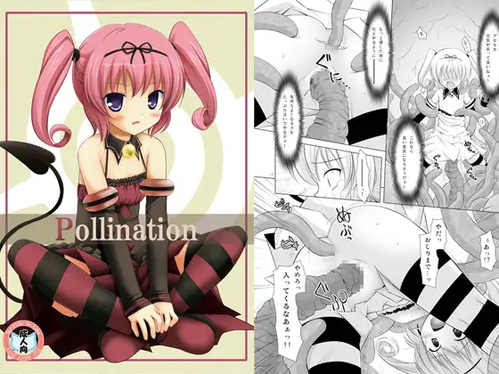 Pollination