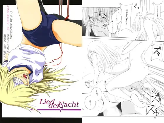 Lied der Nacht 7