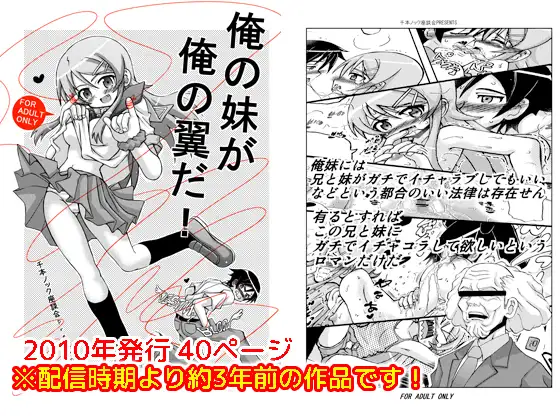俺の妹が俺の翼だ!