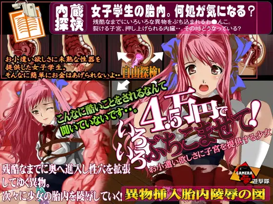 4.5万円でいろいろぶちこませて!