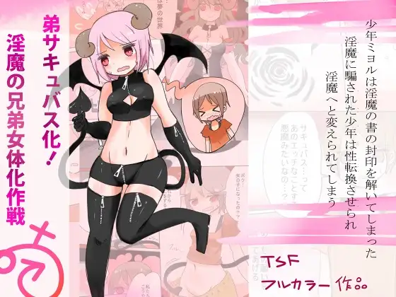 弟サキュバス化!淫魔の兄弟女体化作戦1